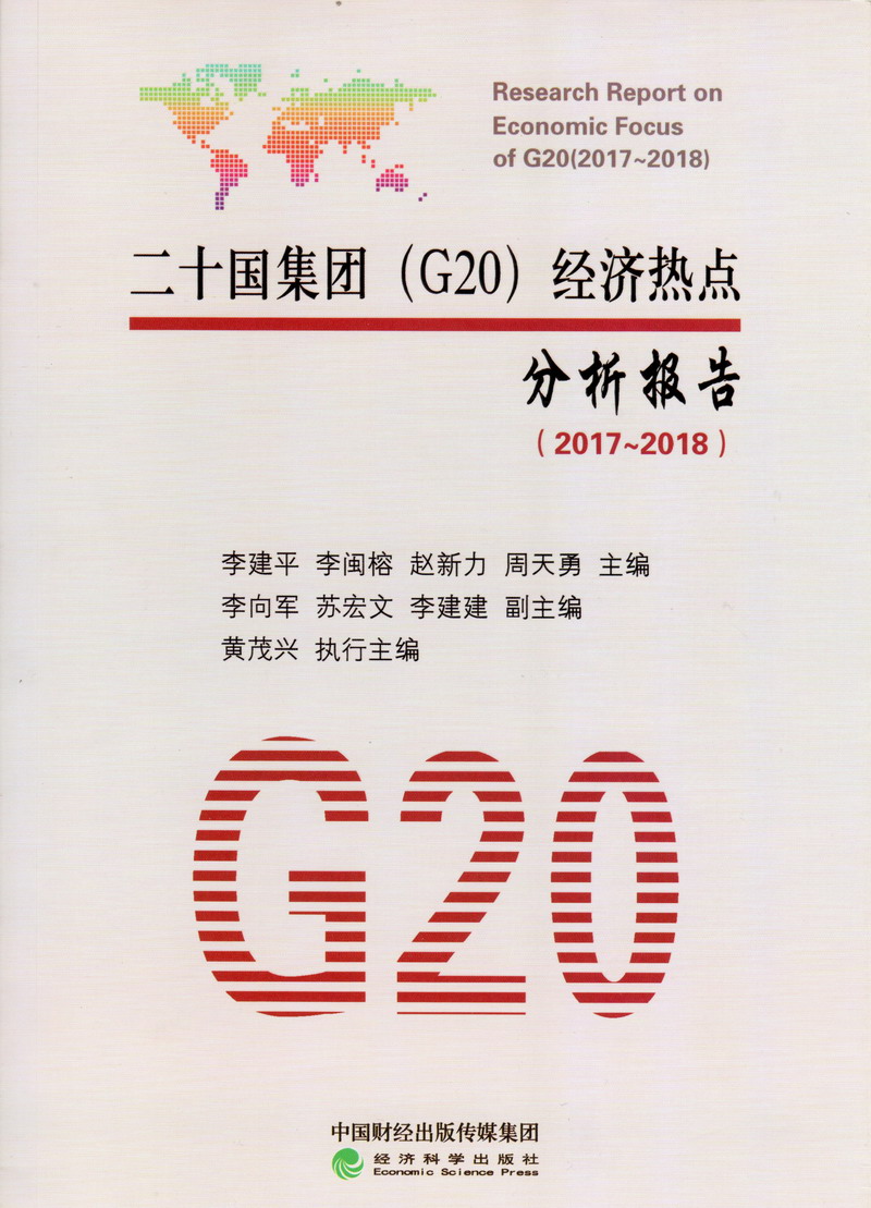 啊啊啊啊啊日本爱二十国集团（G20）经济热点分析报告（2017-2018）